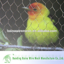 The Chaepest Hexagonal Wire Mesh for Chicken Coop